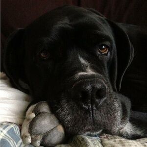 Meet your Posher, Kelly